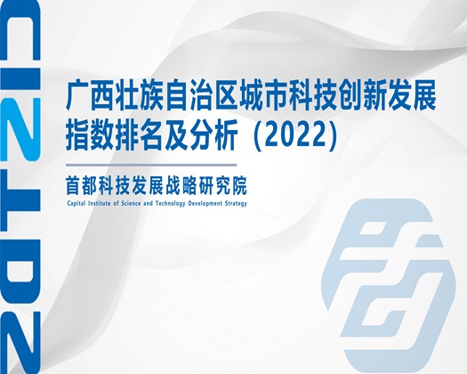 骚逼被操AV【成果发布】广西壮族自治区城市科技创新发展指数排名及分析（2022）